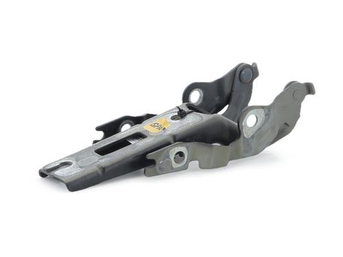 Hinge/Door check strap VW GOLF VIII (CD1, DA1) 2.0 TDI | BP36961845C146 - Image 2