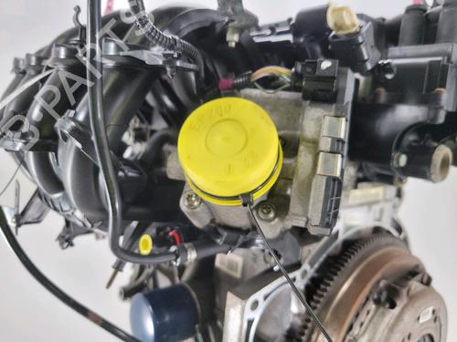 Engine FORD FIESTA VI (CB1, CCN) 1.25 | BP28533979M1