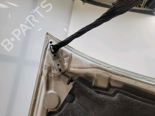 Hood FORD TRANSIT CONNECT (P65_, P70_, P80_) 1.8 TDCi | BP27511182C1