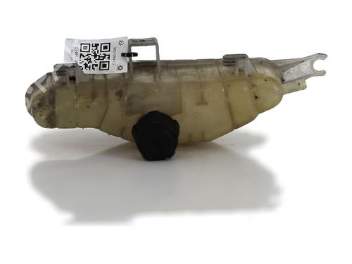 Used Expansion tank RENAULT CLIO III (BR0/1, CR0/1) 1.5 dCi (C/BR0G, C/BR1G) (68 hp) 28137694