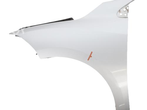 left-front-fenders-renault-megane-iii-hatchback-bz01_-b3_-2008-36006213 main image