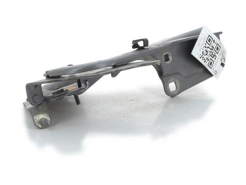 Hinge/Door check strap RENAULT MEGANE III Hatchback (BZ0/1_, B3_) 1.5 dCi (BZ0C) | BP27909985C146 