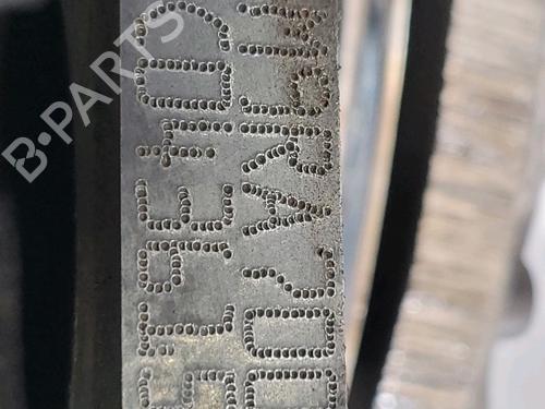 Silnik RENAULT MEGANE II Coupé-Cabriolet (EM0/1_) 2.0 dCi | BP30054113M1 