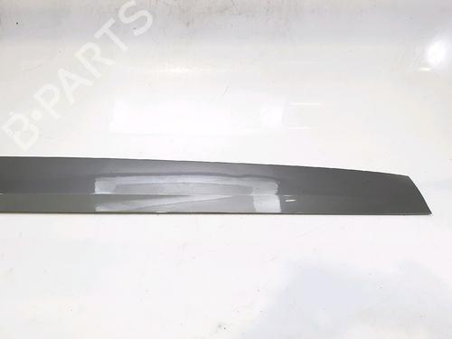 Used Door moulding trim RENAULT SCÉNIC III (JZ0/1_) 1.2 TCe (116 hp) 29623962