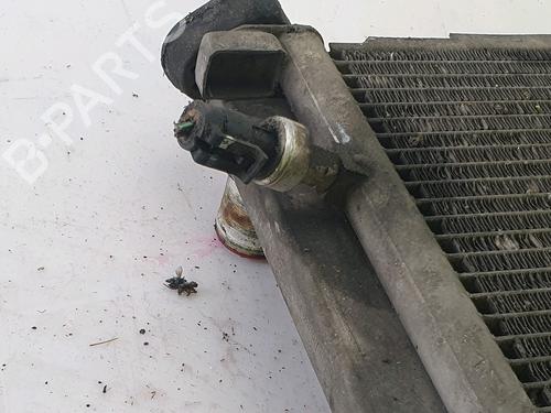 Water radiator RENAULT CLIO III (BR0/1, CR0/1) | BP28486648M31