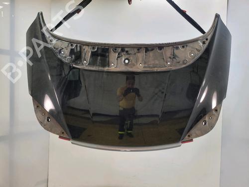 Used Tailgate RENAULT MEGANE CC (EZ0/1_) 1.9 dCi (EZ0J, EZ1S) (131 hp) 31079350