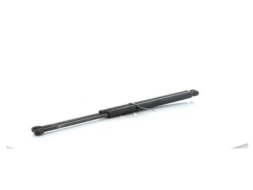 Tailgate lift support LAND ROVER RANGE ROVER SPORT I (L320) 2.7 D 4x4 | BP27915090C138 