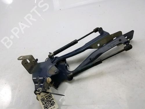 Used Hinge/Door check strap RENAULT SCÉNIC III (JZ0/1_) 1.9 dCi (JZ0J, JZ1J, JZ1K, JZ1S) (131 hp) 27919380