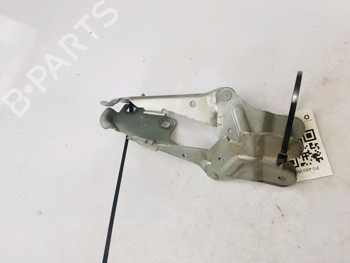 Hinge/Door check strap RENAULT LAGUNA II Grandtour (KG0/1_) 1.9 dCi (KG0G) | BP27919444C146 