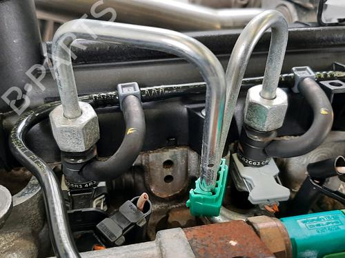 Engine RENAULT MEGANE II (BM0/1_, CM0/1_) 1.5 dCi (BM1F, CM1F) | BP31372797M1 