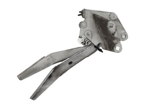 Used Hinge/Door check strap RENAULT MEGANE III Hatchback (BZ0/1_, B3_) 1.5 dCi (106 hp) 32013488