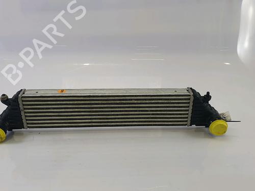 Used Intercooler FIAT 500L (351_, 352_) 1.6 D Multijet (199LYD1B) (105 hp) 28532801