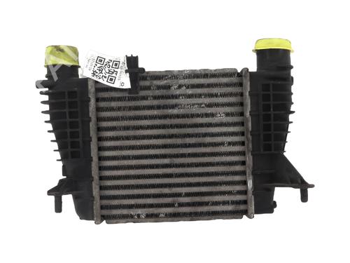Intercooler Intercooler RENAULT CLIO III (BR0/1, CR0/1) [2005-2014] 33838490 33838490