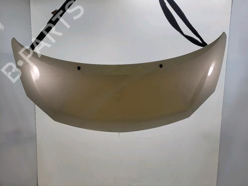 hood-renault-twingo-ii-cn0_-2007-31913273 main image