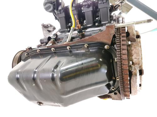 Engine RENAULT CLIO III (BR0/1, CR0/1)  | BP28486732M1 