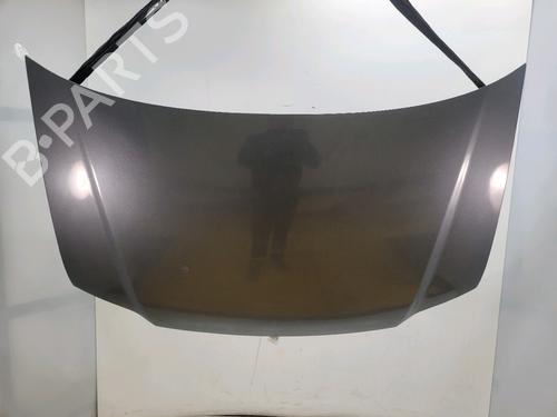 Panser VW TOURAN (1T1, 1T2) 2.0 TDI (170 hp) 33190470