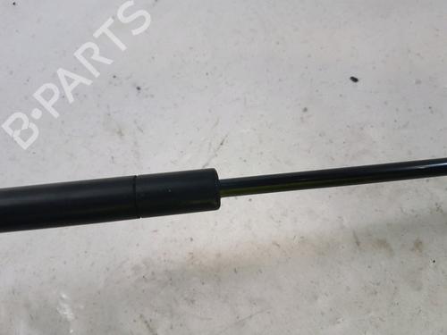 Hood lift support SAAB 9-3 (YS3F, E79, D79, D75) 1.9 TiD | BP27916969C139 