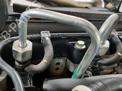 Engine RENAULT MODUS / GRAND MODUS (F/JP0_) 1.5 dCi (FP0G, JP0G) | BP31122522M1 