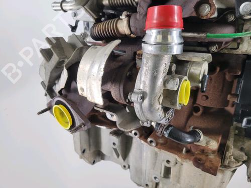 Engine RENAULT MEGANE III Hatchback (BZ0/1_, B3_) 1.5 dCi (BZ0C) | BP29416744M1 