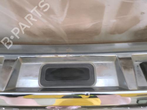 Tailgate RENAULT SCÉNIC III (JZ0/1_) 1.5 dCi | BP29762530C6