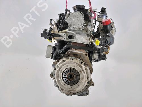 Engine VW POLO V (6R1, 6C1) 1.6 TDI | BP20977929M1 