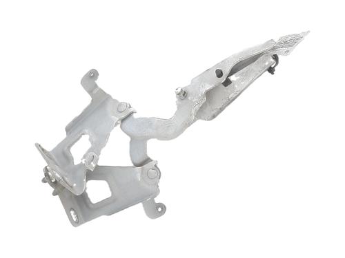 hingedoor-check-strap-renault-trafic-iii-van-fg_-2014-32741319 main image