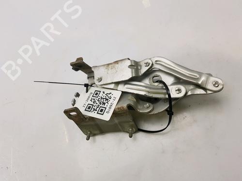Used Hinge/Door check strap RENAULT GRAND SCÉNIC II (JM0/1_) 1.9 dCi (JM14) (131 hp) 27919334