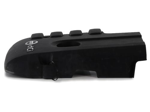 Upper protection NISSAN NAVARA NP300 (D40) 2.5 dCi 4WD | BP24055894M93