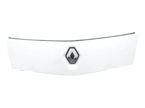 grille-renault-kangoo-express-fw01_-2008-36428962 main image