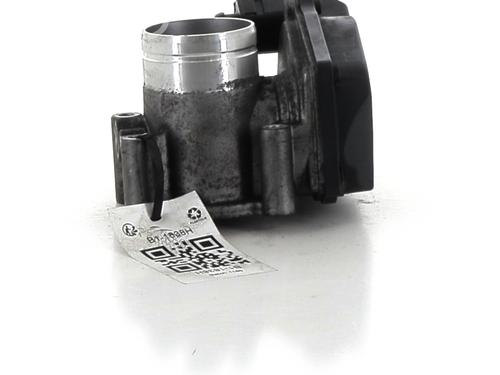 Throttle body SEAT IBIZA IV (6J5, 6P1) | BP32255183M82