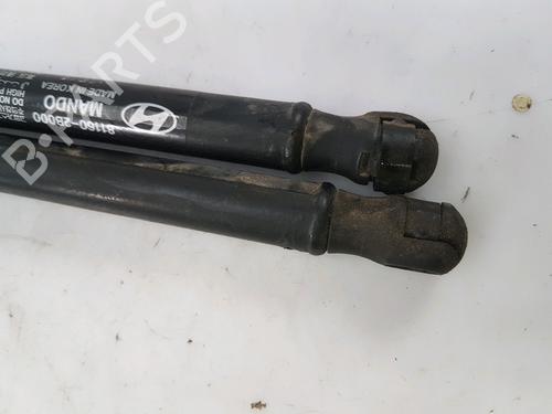 Hood lift support HYUNDAI SANTA FÉ II (CM)  | BP27916982C139 