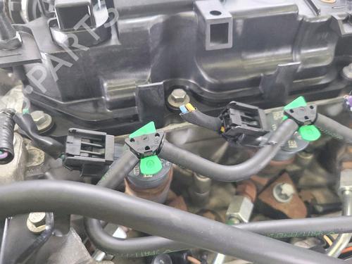 Motor FORD FIESTA VI (CB1, CCN) 1.4 TDCi | BP29552582M1 