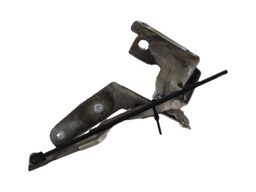 hingedoor-check-strap-citroen-c4-i-lc_-2004-2005-2006-2007-2008-2009-2010-2011-2012-2013-2014-39224160 main image