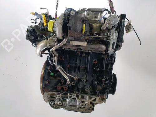 Engine RENAULT KOLEOS I (HY_) 2.0 dCi 4x4 (HY0K) | BP33809431M1 - Image 4