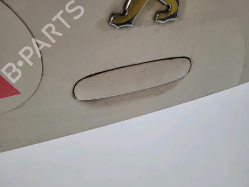 Tailgate PEUGEOT 307 (3A/C) 2.0 HDi 90 | BP29444096C6 