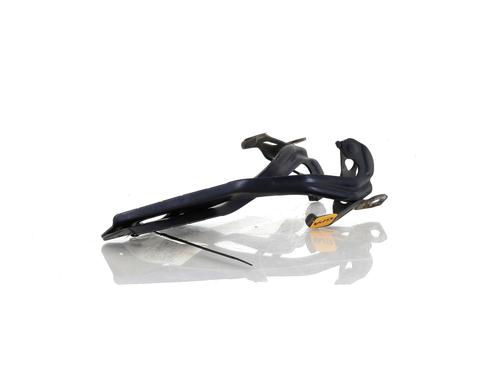 Hinge/Door check strap HONDA CIVIC VIII Hatchback (FN, FK) 1.8 (FN1, FK2) | BP27902834C146 