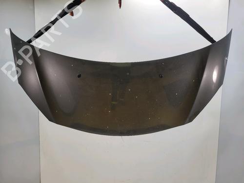 Capot CITROËN C3 II (SC_) 1.2 THP 110 (110 hp) 31349643