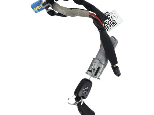 Used Ignition barrel Ignition barrel CITROËN XSARA PICASSO (N68) [1999-2012] 39666068 39666068