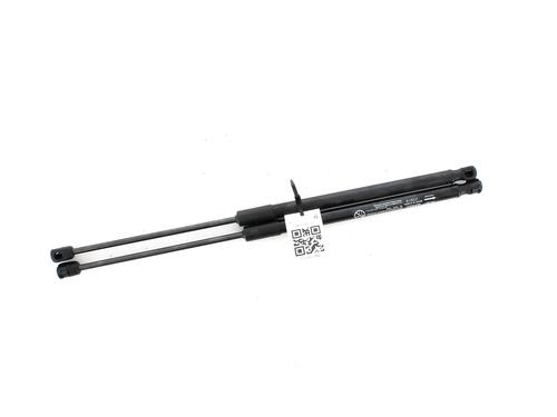 Used Hood lift support HYUNDAI IONIQ 5 (NE) EV (217 hp) 27916973
