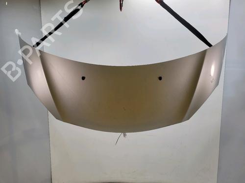 Used Hood CITROËN C3 II (SC_) 1.4 HDi 70 (SC8HZC, SC8HR0, SC8HP4) (68 hp) 32039949