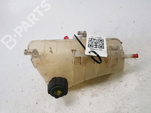 Used Expansion tank MERCEDES-BENZ CITAN Box Body/MPV (W415) 111 CDI (415.603, 415.605) (110 hp) 10710307