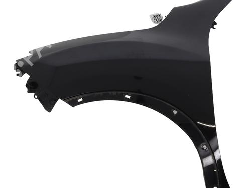 Used Left front fenders NISSAN JUKE (F15) 1.5 dCi (110 hp) 29602514