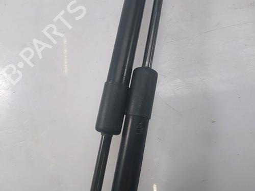 Tailgate lift support NISSAN QASHQAI / QASHQAI +2 I (J10, NJ10, JJ10E) 1.6 dCi | BP27916872C138 