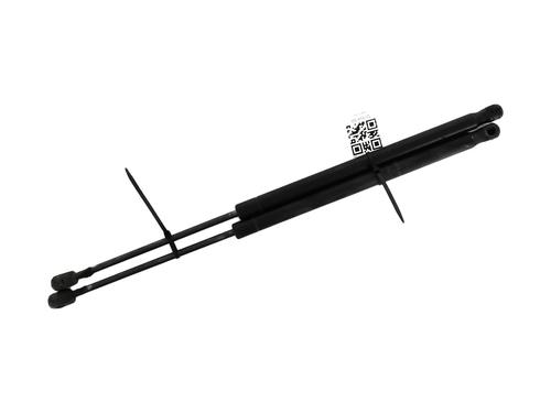 Used Tailgate lift support RENAULT SCÉNIC II (JM0/1_) 1.9 dCi (JM14) (131 hp) 27903794