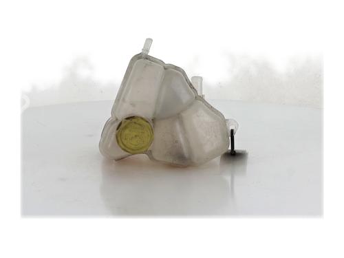 Used Expansion tank FORD FIESTA V (JH_, JD_) ST150 (150 hp) 29696160
