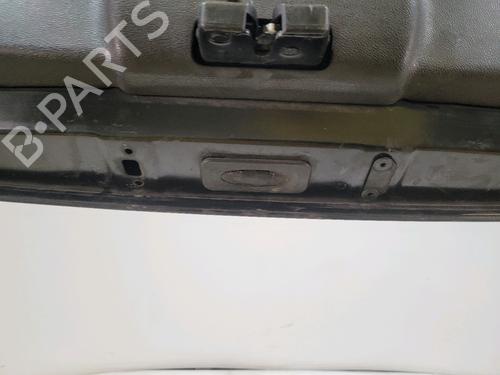 Tailgate RENAULT CLIO III (BR0/1, CR0/1) 1.5 dCi (BR17, CR17) | BP29849580C6 