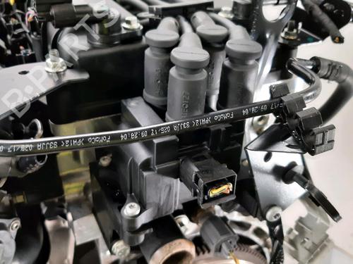 Engine FORD KA+ III (UK, FK)  | BP32040034M1 