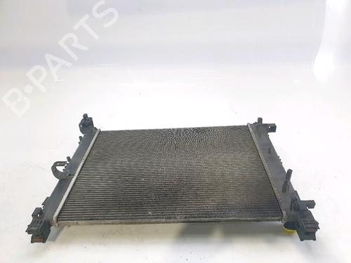 Køler RENAULT CLIO III Hatchback Van (SB_, SR_)  | BP28333188M31 