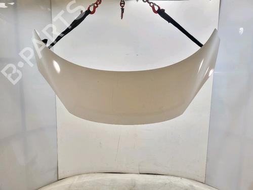 hood-renault-scenic-iii-jz01_-2008-2009-2010-2011-2012-2013-2014-2015-2016-34051491 main image