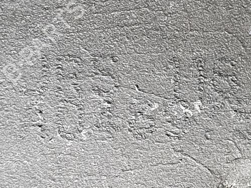 Gearbox RENAULT KANGOO (KC0/1_) 1.5 dCi | BP30118553M3  - Image 5